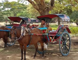 Myanmar. In Search Of Horse Cart 101…